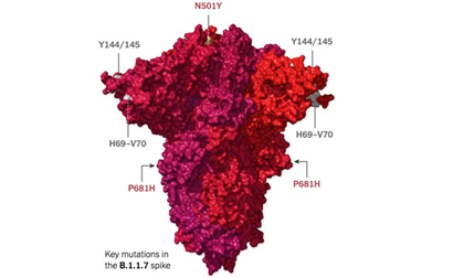Phân tích kết quả giải trình tự gene cho thấy: Biến chủng SARS-CoV-2 mới xuất hiện tại Việt Nam rất nguy hiểm