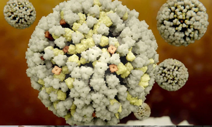 Trung Quốc phát hiện virus cúm gia cầm H10N3 lần đầu tiên ở người: Có nguy cơ lây lan rộng không?