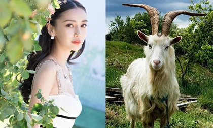 Tuần mới: 3 con giáp dễ bị họa thị phi, tiểu nhân hãm hại
