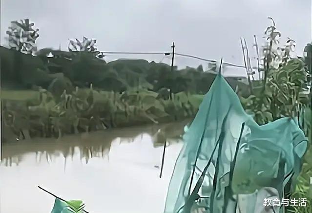 Hai đứa trẻ bị sát hại dã man dưới mương, dân làng choáng váng trước danh tính hung thủ, vẻ mặt của hắn khi bị bắt còn rùng rợn hơn - Ảnh 2.