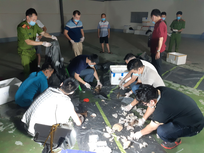 Nóng: Cảnh sát đột kích phá chuyên án hơn 500kg ma túy giấu trong dạ dày lợn, mô tơ điện - Ảnh 7.