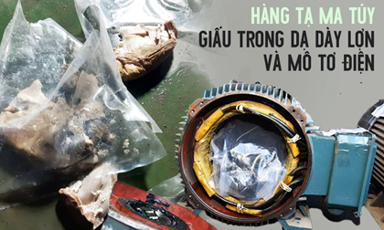 Cảnh sát đột kích phá chuyên án hơn 500kg ma túy giấu trong dạ dày lợn, mô tơ điện