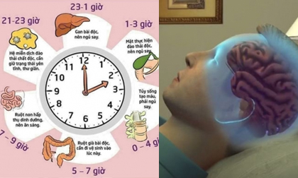 Ai cũng nói thức khuya rất hại, vậy đi ngủ lúc mấy giờ là tốt nhất cho sức khỏe?
