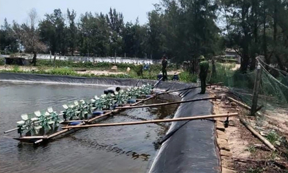 Bình Định: Cha ngã quỵ khi phát hiện 2 con gái chết đuối dưới hồ nuôi tôm của gia đình