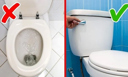 Thói quen dùng bồn cầu sai cách gây ảnh hưởng sức khỏe nghiêm trọng mà rất nhiều người đang mắc phải