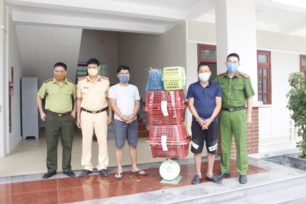 Thay biển số giả để chở 7 con hổ đi giao cho khách, lùi xe đâm nát đầu xe cảnh sát để chạy trốn - Ảnh 6.