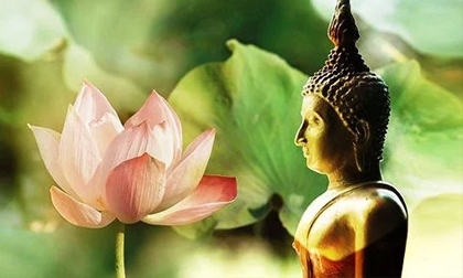 Đời người ai cũng có 4 nỗi sợ lớn nhất: Phải sợ để biết trân trọng cuộc sống này