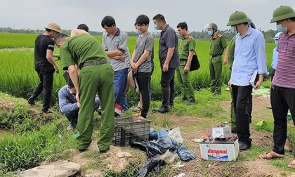 Em bé 11 tuổi chết oan dưới ruộng lúa ở Hải Dương vì bẫy chuột bằng điện