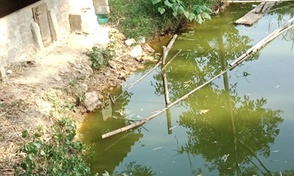 Con trai đi theo không biết, bố điếng người khi thấy con chết đuối dưới ao trong vườn
