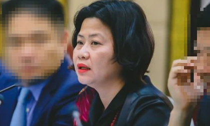 Nữ doanh nhân 'siêu lừa' Trương Thị Kim Soan chiếm đoạt hơn 11 triệu USD của người nước ngoài là ai?
