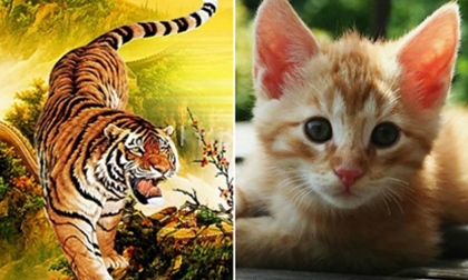 3 con giáp được Thần Tài chiếu cố có cơ hội phát tài kể từ Rằm tháng 8 âm lịch