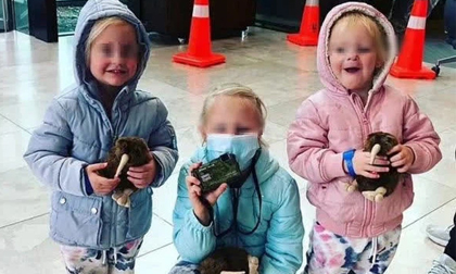 Đi làm về, ông bố chết lặng khi nhìn thấy cả 3 cô con gái đều bị giết, càng bàng hoàng khi biết danh tính kẻ ra tay tàn nhẫn