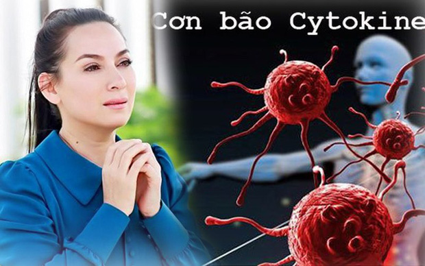 Trước khi qua đời, ca sĩ Phi Nhung bị cơn bão mang tên Cytokine đánh gục như thế nào? - Ảnh 1.