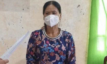 Bắt nữ giám đốc lừa đảo chiếm đoạt tài sản, trốn thuế hơn 8 tỷ đồng