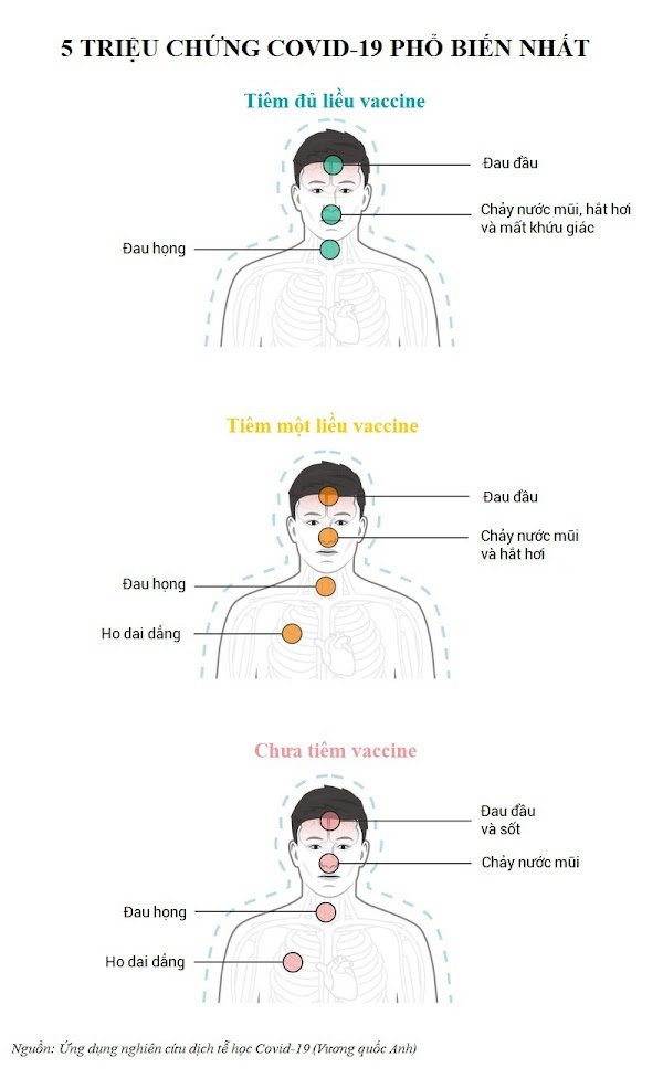 5 triệu chứng nCoV phổ biến nhất theo từng tình trạng tiêm vắc xin. Đồ họa: Insider/Zing