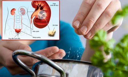 7 thói quen âm thầm làm suy giảm sức khỏe của thận, rất nhiều người phạm phải mà không biết