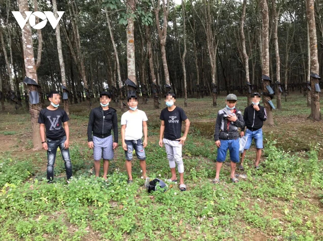 6 bệnh nhân bỏ trốn khi đang điều trị Covid-19, lẩn trốn ở lô cao su - Ảnh 1.