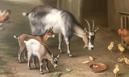 Mẹ 'cầm tinh' 4 con giáp này, con cái yên tâm phúc dày mệnh lớn, tài lộc hưởng suốt đời