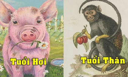Cuối năm cá chép hóa rồng: 3 con giáp tài lộc đỏ rực, tiền bạc sung túc, đón tết Nhâm Dần 2022 ấm no
