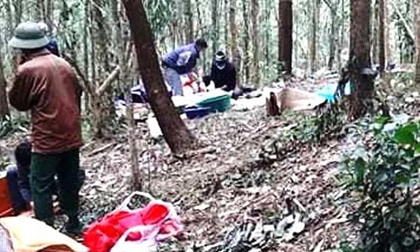 Thi thể người đàn ông đang phân hủy trong rừng keo với nhiều vết thương