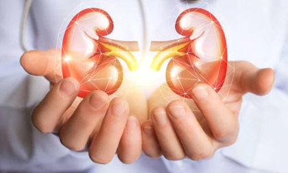 Thận có khỏe thì sức mới bền: Buổi sáng 'xoa bóp' bộ phận này 5 phút, bạn sẽ thấy điều ''kì diệu'' xảy ra