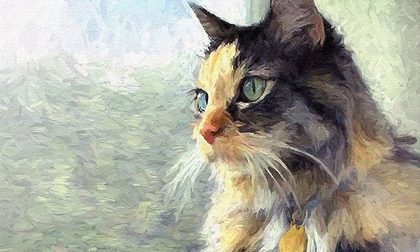 Chưa đầy 2 tuần nữa là hết năm Tân Sửu: 3 con giáp gặp chuyển mình đổi vận, tài lộc đổ về như thác