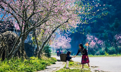 Miền Bắc rét đậm, rét hại tới bao giờ?