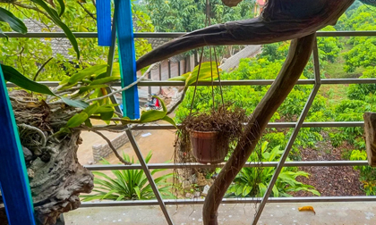 Hé lộ số tiền gia đình nạn nhân còn nợ kẻ dùng súng bắn 2 vợ chồng ở Thái Nguyên