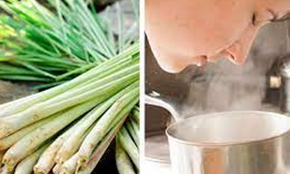 F0 xông mũi họng chữa Covid-19 rất tốt, nhưng những người này chớ dại mà xông kẻo càng thêm nặng