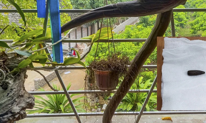 Người may mắn sống sót trong vụ nổ súng ở Thái Nguyên đã nói được, hiện bị liệt nửa người