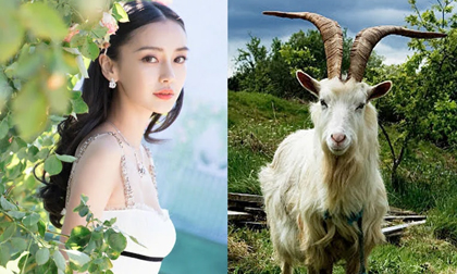 Thần Tài gọi tên: 3 con giáp này song hỷ lâm môn, tiền tài thăng tiến, tình duyên viên mãn 120 ngày tới