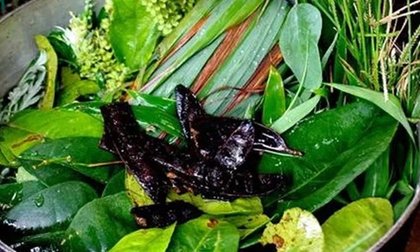 F0 xông hơi để diệt virus SARS-CoV-2: Bác sĩ chỉ ra cách làm rất sai lầm và nguy hiểm