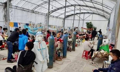 Phát hiện mình là F0, người phụ nữ uống thuốc diệt rệp tự tử