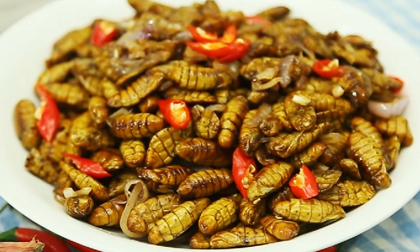 Cách chế biến các món ăn ngon từ nhộng tằm, người kén đến mấy cũng khen ngon