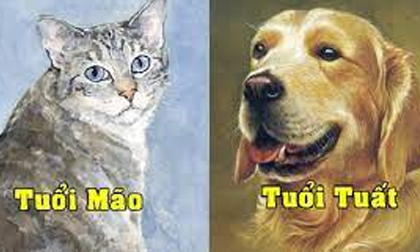 10 ngày đầu tháng 5 âm lịch, 4 con giáp được Thần tài gọi tên, tiền vào như nước: Thời tới cản không kịp