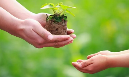 Học giới siêu giàu cách dạy con để giàu có 3 đời: Bố mẹ nào cũng nên biết