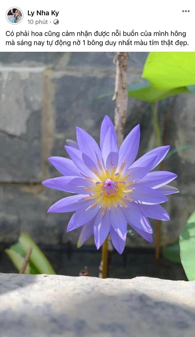 kyy-1