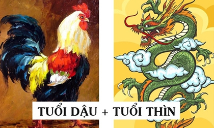 Ông Tơ bà Nguyệt se chỉ đỏ: 3 cặp đôi con giáp cứ lấy nhau về là sướng hết phần thiên hạ