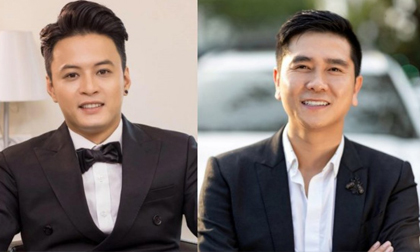 Hồng Đăng, Hồ Hoài Anh đã trở về Việt Nam