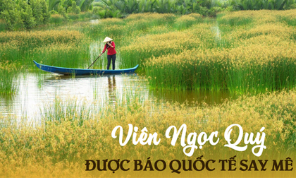 1 nơi ở Việt Nam được chuyên trang du lịch quốc tế gọi là 'Viên ngọc quý': Niềm mơ ước của người mê sinh thái
