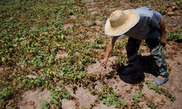 Hạn hán nghiêm trọng khiến bức tượng Phật bằng đá lớn nhất thế giới lộ diện hoàn toàn - Ảnh 3. Hạn hán nghiêm trọng khiến bức tượng Phật bằng đá lớn nhất thế giới lộ diện hoàn toàn - Ảnh 3.