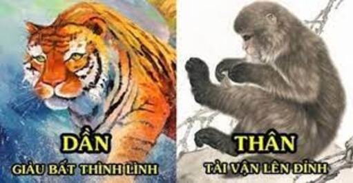 thandan (1)