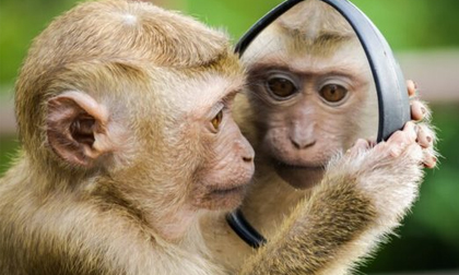 99 ngày tới, 3 con giáp được trời ban nhiều phúc đức, vạn sự như ý, nhân duyên tài vận thập toàn thập mỹ