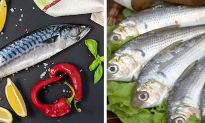BS Nhật Bản có mạch máu trẻ hơn 13 tuổi so với tuổi thực: Bí quyết nhờ 2 thực phẩm quen thuộc