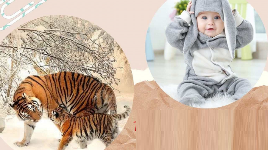 tre-sinh-nam-dan