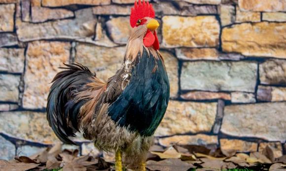 tui-vi-3-thang-cuoi-2022-03