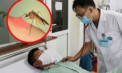 Hà Nội: Dịch sốt xuất huyết bước vào giai đoạn cao điểm, thêm 83 ổ dịch mới