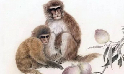 Chờ đến tháng 12 âm lich: 3 con giáp như chuột sa hũ nếp, ôm hết lộc thiên hạ về nhà