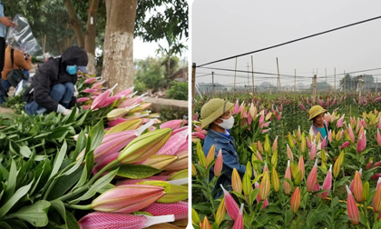 Nhiều người xắn tay đi buôn, 'hốt bạc' tháng cận Tết