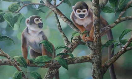 Đúng Tết Dương lịch: 3 con giáp được thần Tài 'dắt tay' đến mỏ vàng, ăn Tết mĩ mãn